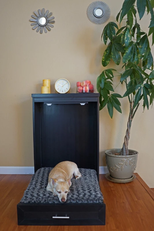 New Age Pet Murphy Bed with Memory Foam Cushion - Espresso