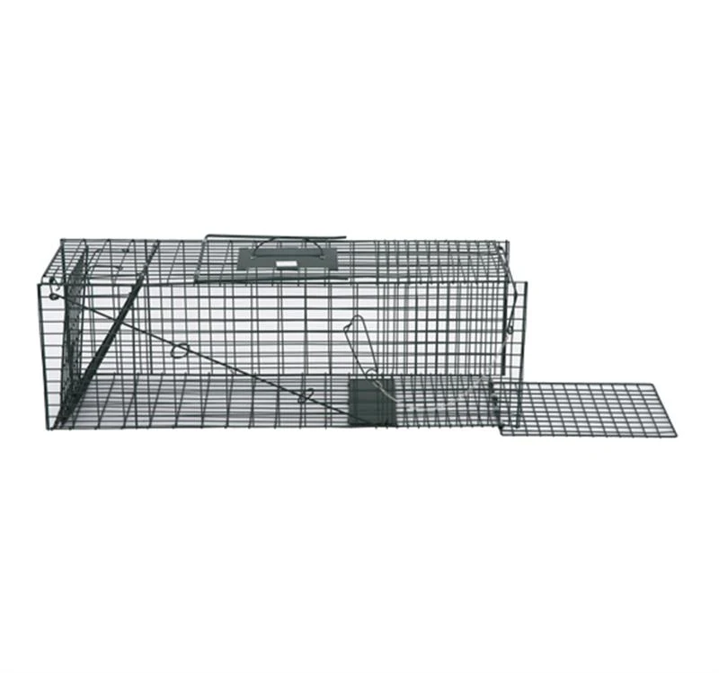 Pawhut 37" Humane Cage Live Small Animal Trap - Green