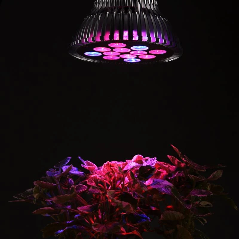 HomCom 12W Energy Saving LED Light Hydroponic Plant Grow Lamp