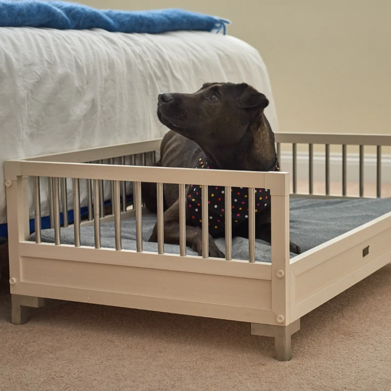 New Age Pet Raised Dog Bed with Memory Foam Cushion - Antique White Large