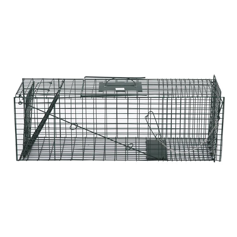 Pawhut 37" Humane Cage Live Small Animal Trap - Green