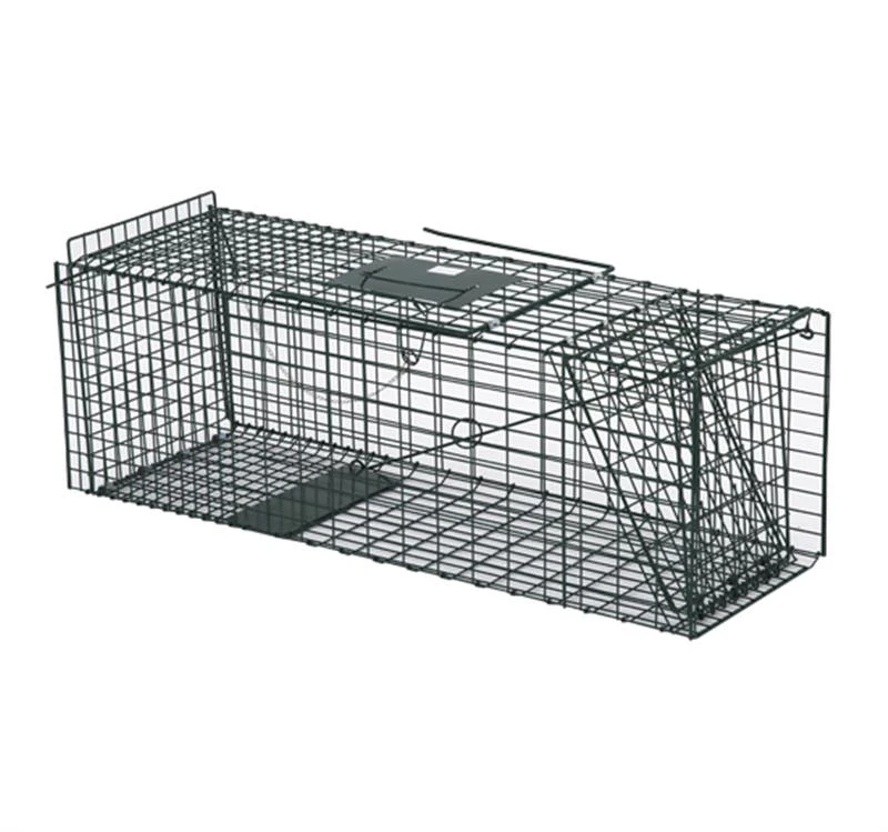 Pawhut 37" Humane Cage Live Small Animal Trap - Green