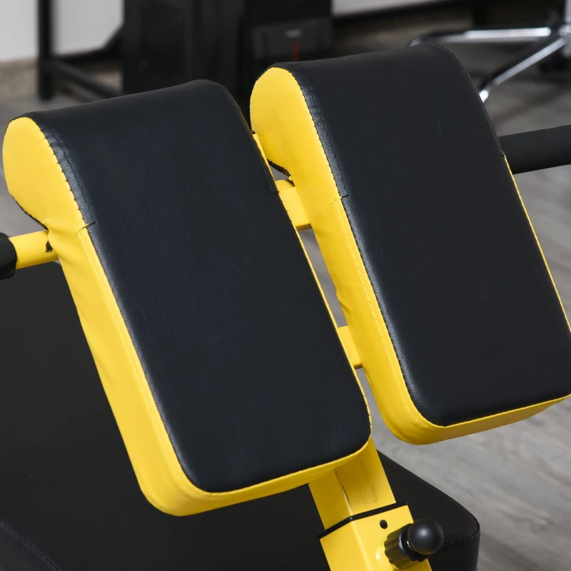 Soozier Folding Adjustable Hyper Extension Bench Dumbbell Weight Ab Multifunction Workout Press