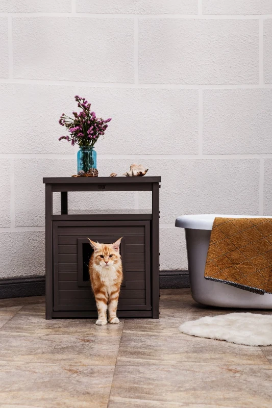 New Age Pet Jumbo LitterLoo Litter Box Cover/End Table - Grey