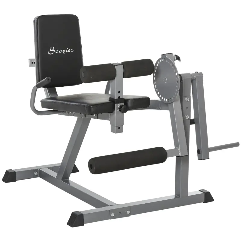 Soozier Adjustable Leg Extension and Curl Training Machine Home Gym Fitness - Black/Grey