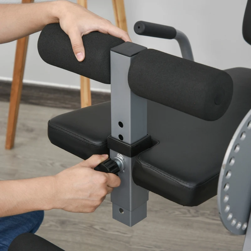 Soozier Adjustable Leg Extension and Curl Training Machine Home Gym Fitness - Black/Grey