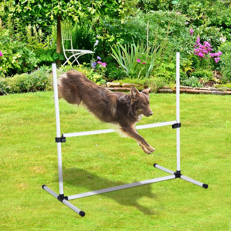 Pawhut 2In1 Dog Obstacle Training Agility Equipment Tire Jump Ring