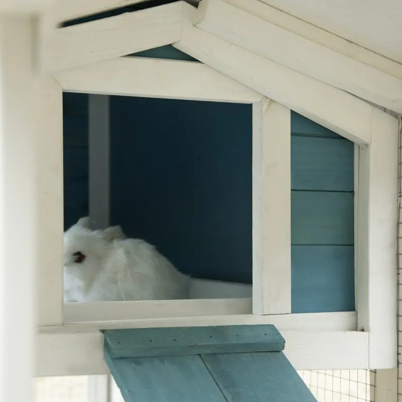 PawHut Rabbit Hutch, Wooden Bunny Hutch, Guinea Pig Cage, Small Animal Enclosure with Run Area, Removable Tray, Asphalt Roof, Lockable Doors and Ramp, Light Blue