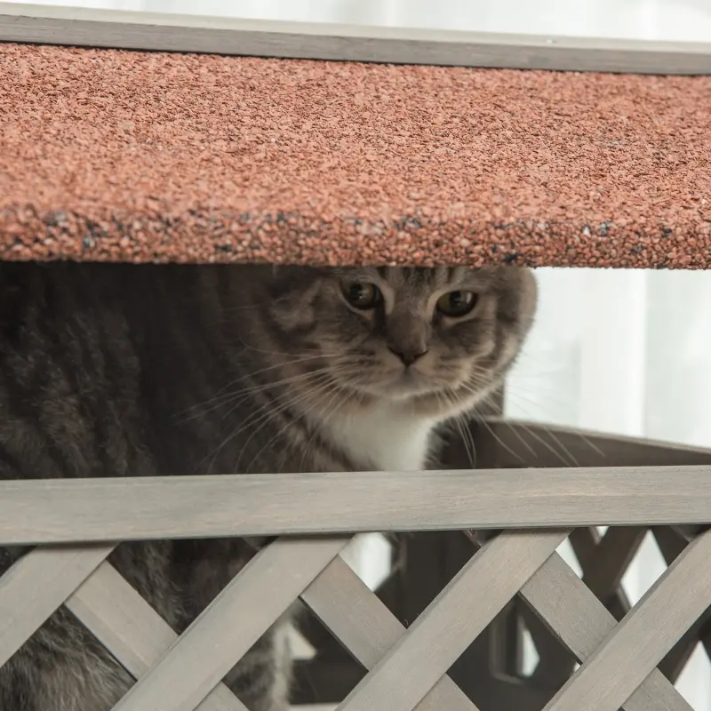 PawHut Wooden Cat House, 2-Floor Feral Cat Shelter, Kitten Condo Outdoor, Small Dog House with Balcony, Stairs, Asphalt Roof, Light Gray