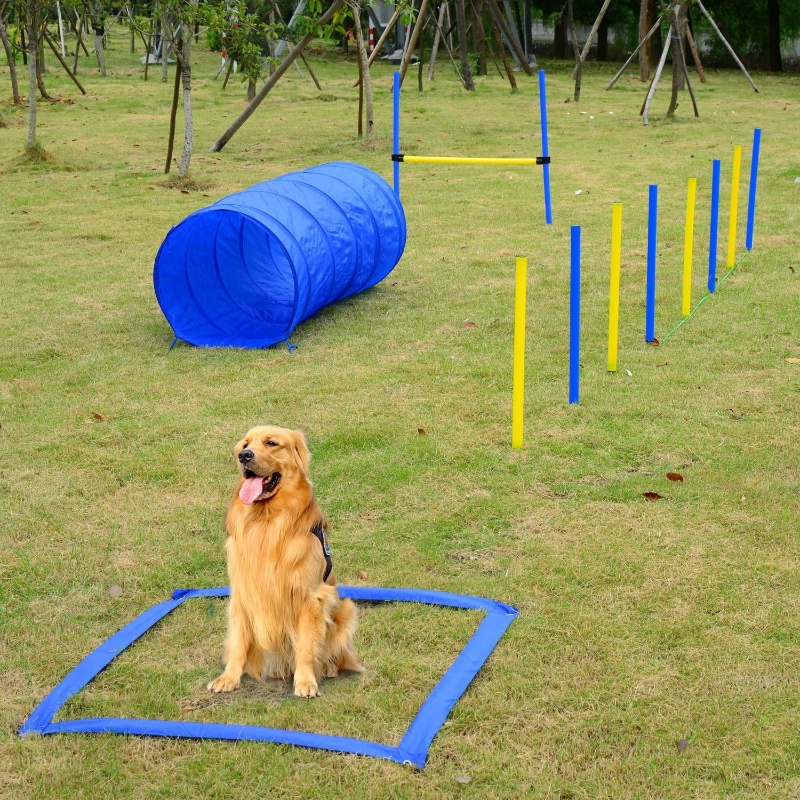 PawHut Dog Agility Starter Kit Pet Outdoor Exercise Training Set Tunnel Weave Pole High Jumper