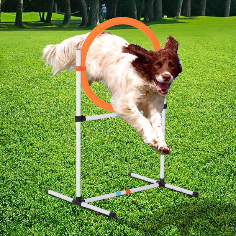 PawHut Outdoor 2-in-1 Dog Obstacle Training Agility Equipment Tire Jump Ring/Hurdle Bar