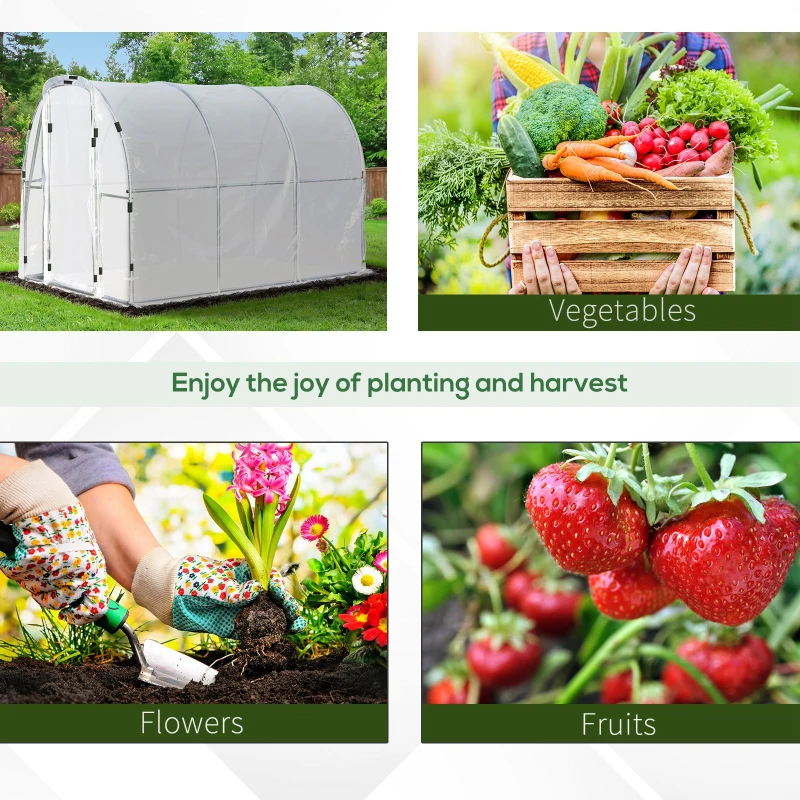 Outsunny 9.85'L x 6.6'W x 6.6'H Polytunnel Greenhouse Outdoor Walk-In Greenhouse, Transparent