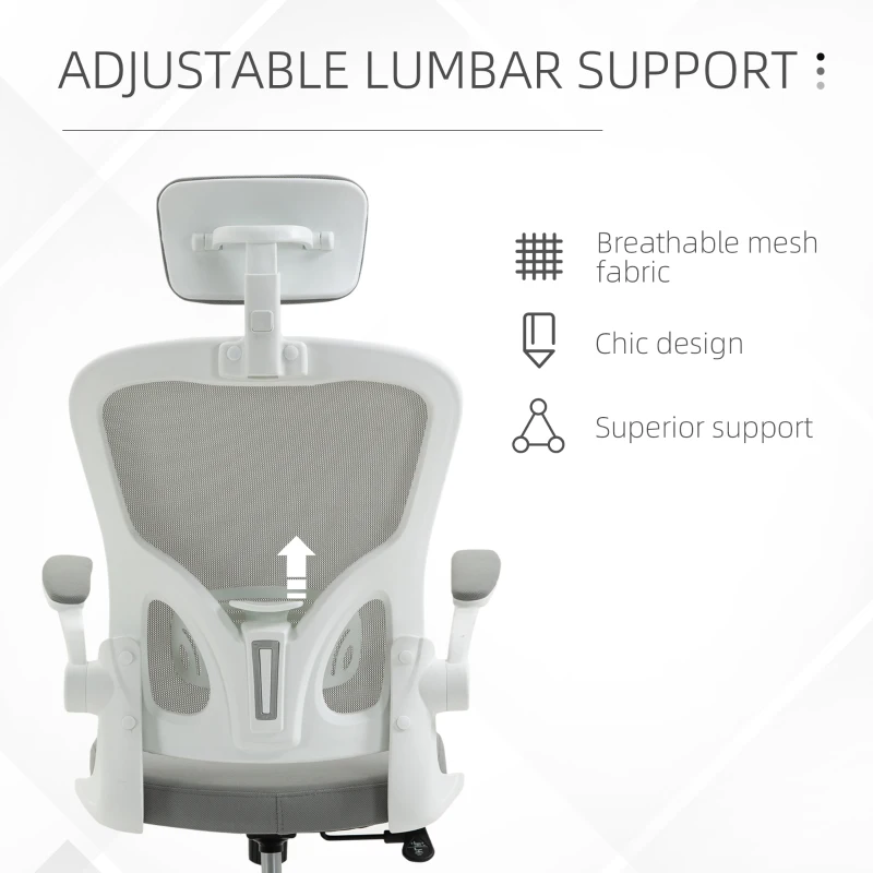 Vinsetto High Back Mesh Chair, Home Office Task Computer Chair with Adjustable Height, Lumbar Back Support, Headrest, and Arms, Gray