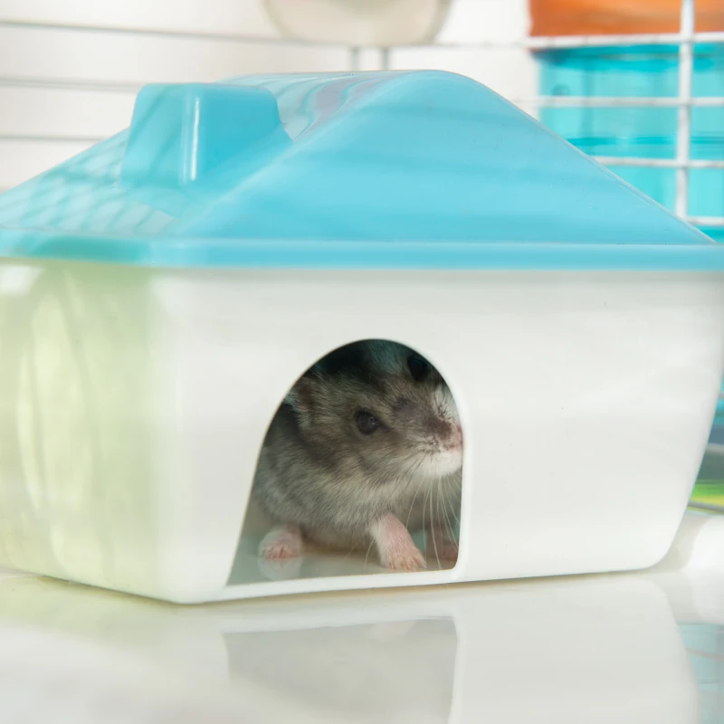 PawHut 31" Large Hamster Cage, Small Animal House, Multi-storey Gerbil Haven, Tunnel Tube System, with Water Bottle, Exercise Wheel, Food Dish, Ramps, Black