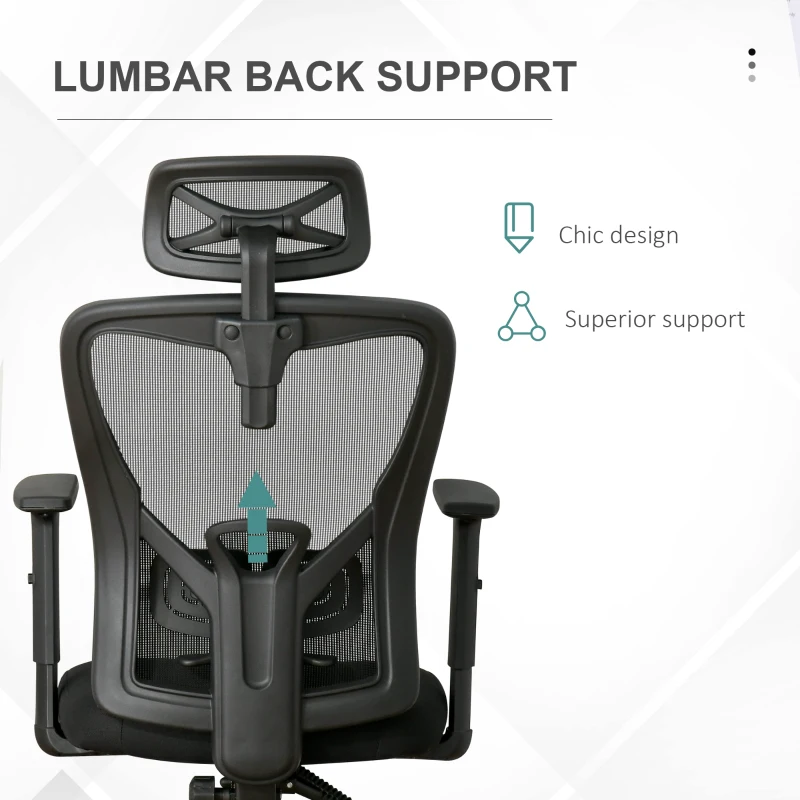 Vinsetto High Back Ergonomic Computer Home Office Chair, Mesh Task Chair with Lumbar Back Support, Reclining Function, Adjustable Headrest, Arms and Height, Black