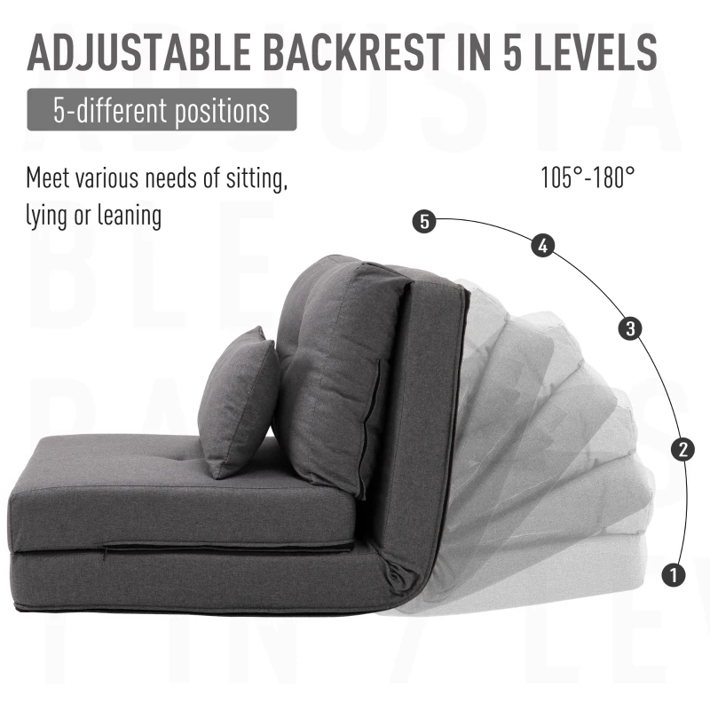 HOMCOM 2-In-1 Design Modern Style Floor Lazy Sofa with 5 Position Adjustable Backrest, Thick Padding, Metal Frame and 2 Pillows, for Living Room, Study, Bedroom, Balcony, Dark Grey