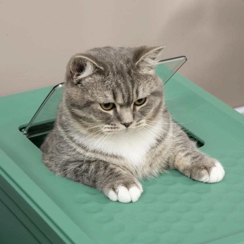 PawHut Fully Enclosed Cat Litter Box with Front Entry and Top Exit, Plastic, Green & White