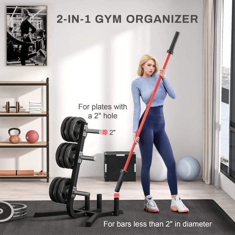 Soozier 2-Inch Weight Plate Rack with Barbell Bar Holders, Olympic Weight Tree, 660 lbs. Capacity, Black