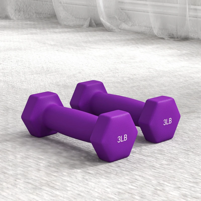 Soozier 2 x 2 lbs., 2 x 3 lbs., 2 x 5 lbs. Dumbbells Set with Dumbbell Rack, Hand Weights for Home Gym Training