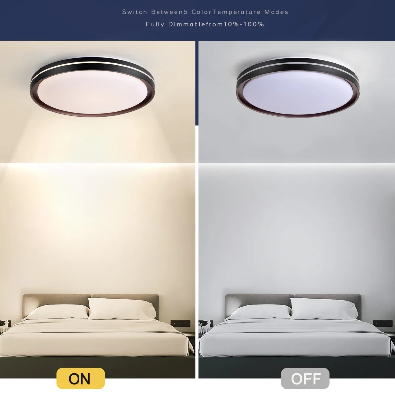 15.75in LED Modern Flush Mount Ceiling Light Fixture, 24W 2400LM, 5 CCT Colors, Dimmable Modern Light for Bedroom, Bathroom, Hallway, Black White
