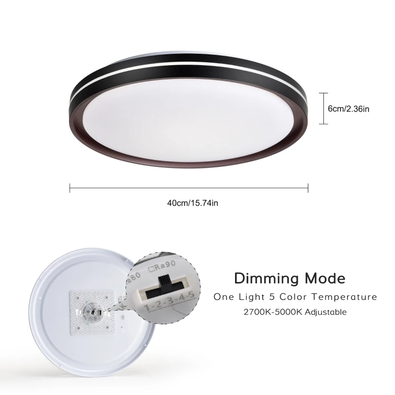 15.75in LED Modern Flush Mount Ceiling Light Fixture, 24W 2400LM, 5 CCT Colors, Dimmable Modern Light for Bedroom, Bathroom, Hallway, Black White