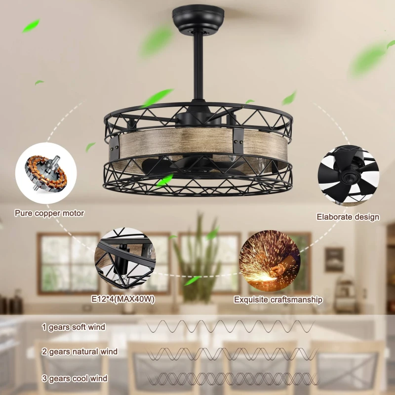 20.5" Caged Ceiling Fan with 5 ABS Blades, Remote Control, Timer, 3 Speeds, Reversible and Quiet for Farmhouse, Bedroom, Living Room, Matte Black