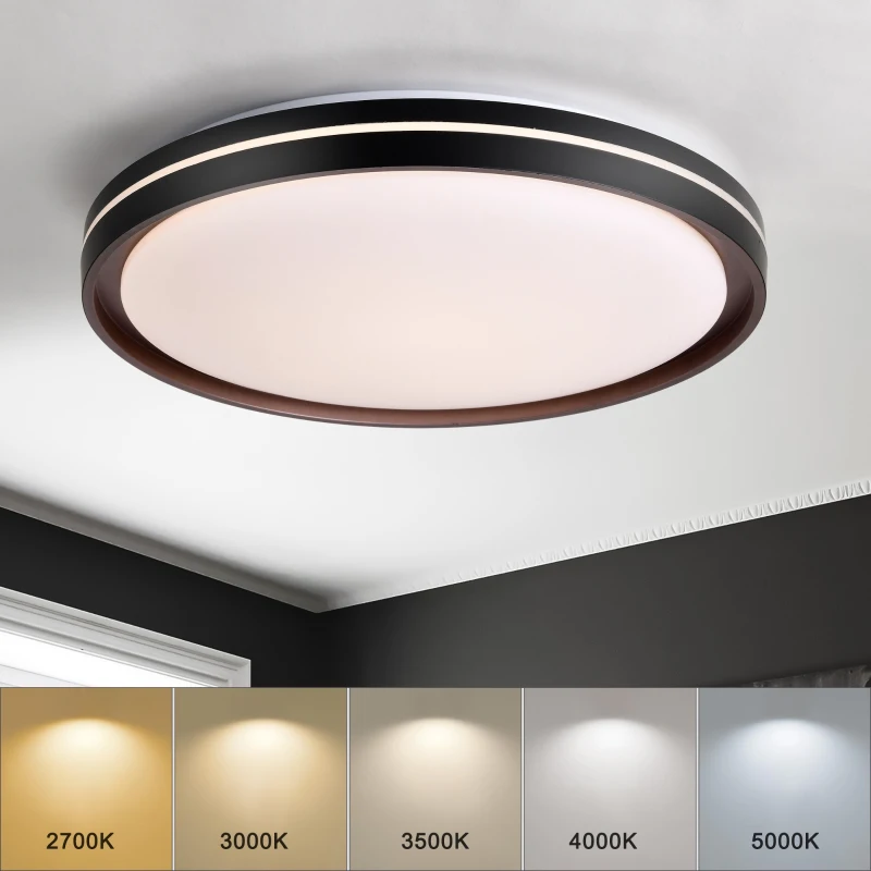 15.75in LED Modern Flush Mount Ceiling Light Fixture, 24W 2400LM, 5 CCT Colors, Dimmable Modern Light for Bedroom, Bathroom, Hallway, Black White