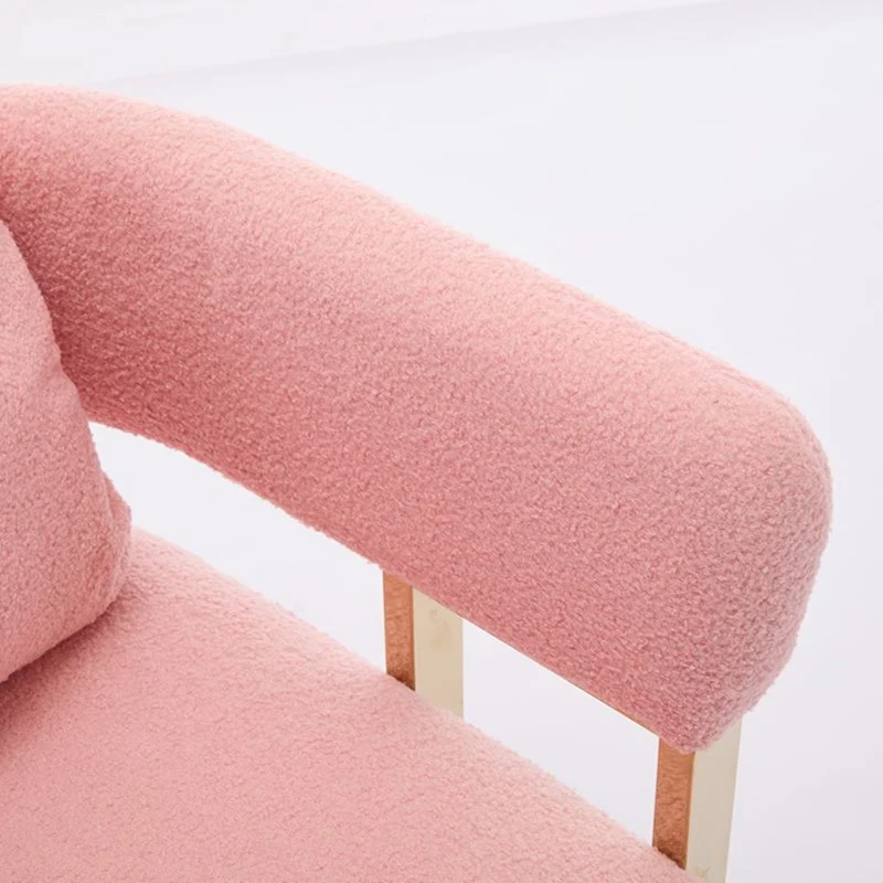 2er-Set Living Room Teddy Fleece Upholstered Side Chair with Gold Metal Legs, Modern Decorative Chair, 26" L x 24.5" W x 27" H, Pink