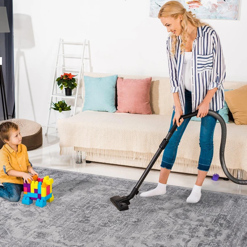 Naar 2x3 Stain-Resistant Area Rug with Non-Shedding Design and Cotton Backing, Kid and Pet-Friendly Carpet, 36" L x 24" W x 0.35" H, Silver