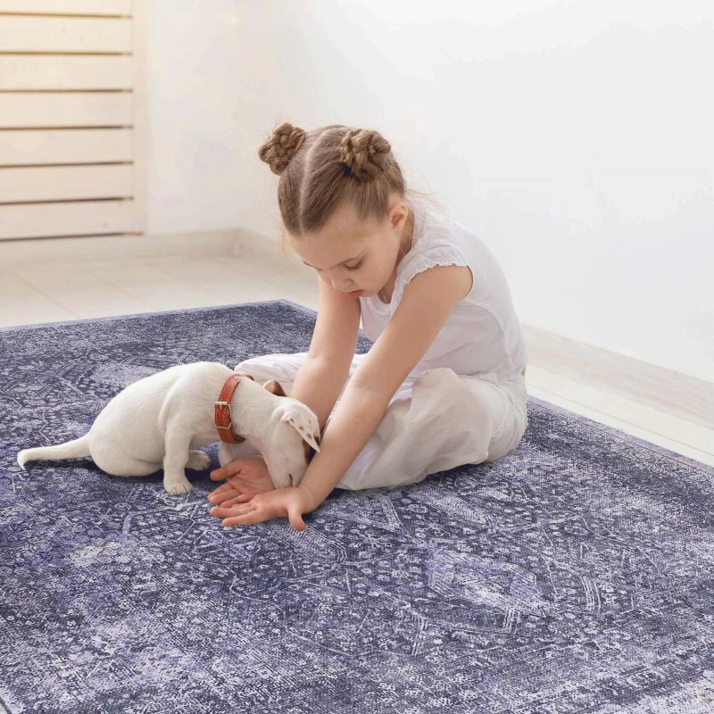 3x5 Washable Low-Pile Non-Slip Non-Shedding Area Rug, Kid and Pet Friendly, Foldable for Living Room, Bedroom, Dining Room, Anthracite