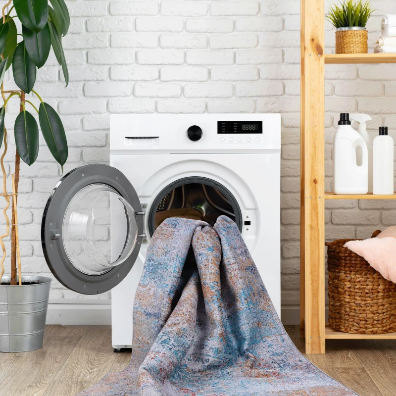 8x10 Washable Kid and Pet Friendly Area Rug, Low-Pile Non-Slip Non-Shedding Rug Blanket, for Living Room, Kitchen, Dining Room, Multicolor