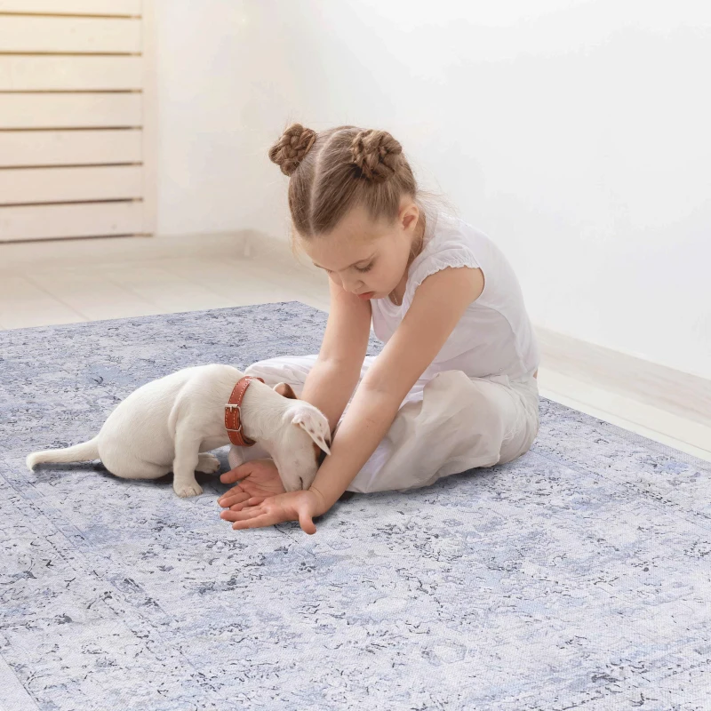 6x9 Low-Pile Non-Slip Non-Shedding Washable Area Rug, Kid and Pet Friendly, Foldable for Living Room, Bedroom, Dining Room, Blue+Cream