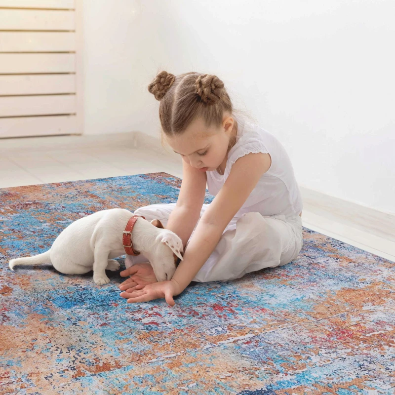 6x9 Machine Washable Non-Shedding Area Rug with Low-Pile, Carpet for Living Room, Dining Room, 72" L x 108" W x 0.15" H, Multicolor