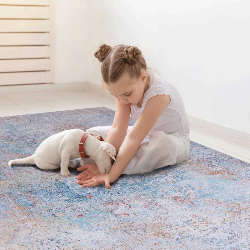 2x3 Kid and Pet Friendly Machine Washable Area Rug, Low-Pile, Non-Slip, Non-Shedding, Foldable Bath Mats for Bathroom, Living Room, Multicolor