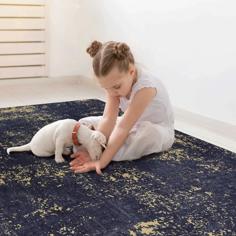 5x8 Non-Slip Machine Washable Area Rug with Low-Pile, Non-Shedding Kid and Pet Friendly Carpet, 60" L x 96" W x 0.15" H, Black+Gold
