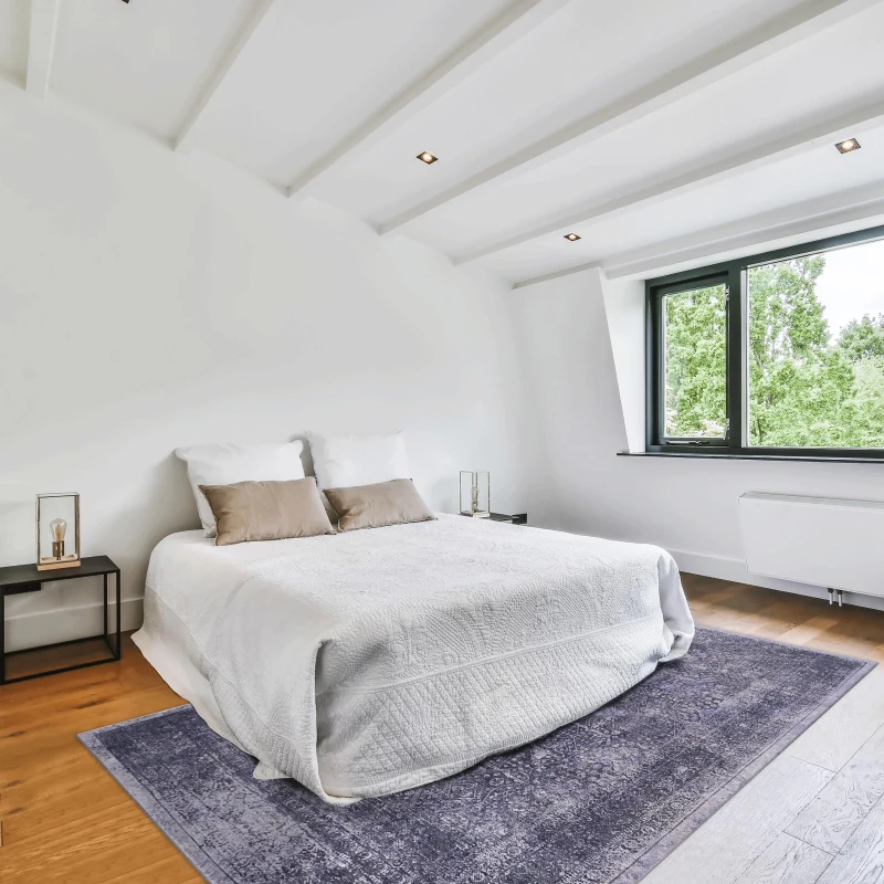 4x6 Washable Kid and Pet Friendly Area Rug, Low-Pile Non-Slip Non-Shedding Rug Blanket, for Living Room, Kitchen, Anthracite