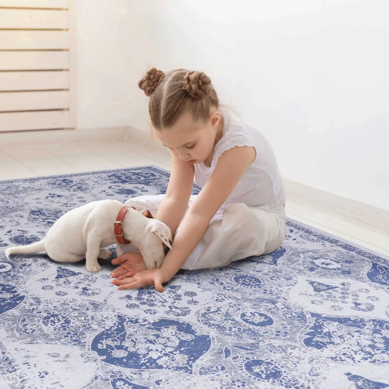 6x9 Washable Low-Pile Non-Slip Non-Shedding Area Rug, Kid and Pet Friendly, Foldable Carpet for Living Room, Bedroom, Kitchen, Blue
