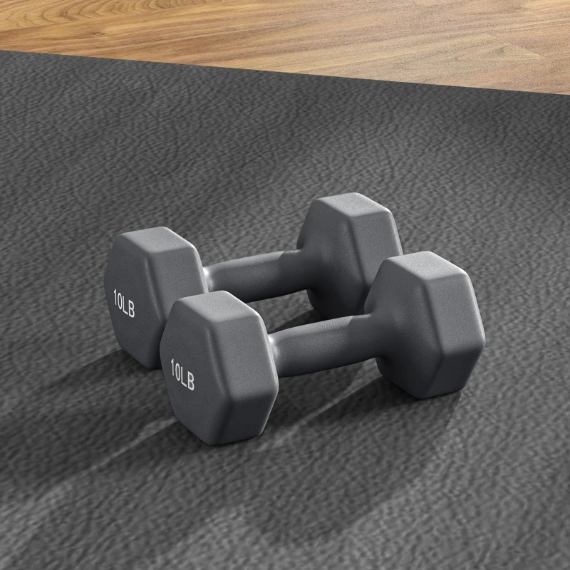 Soozier 2 x 10LBS Hexagonal Dumbbells, Set of 2 Weights with Non-Slip Grip for Home Gym Workout