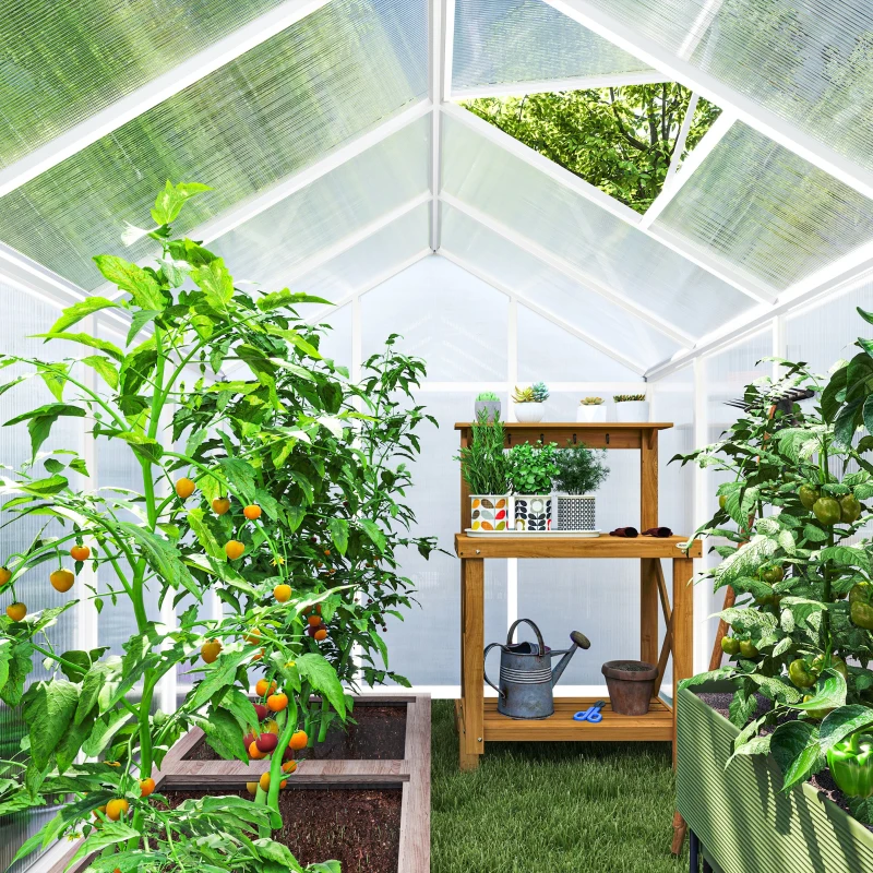 Outsunny 10' L x 6' W Walk-In Polycarbonate Greenhouse with Roof Vent for Ventilation & Rain Gutter for Winter