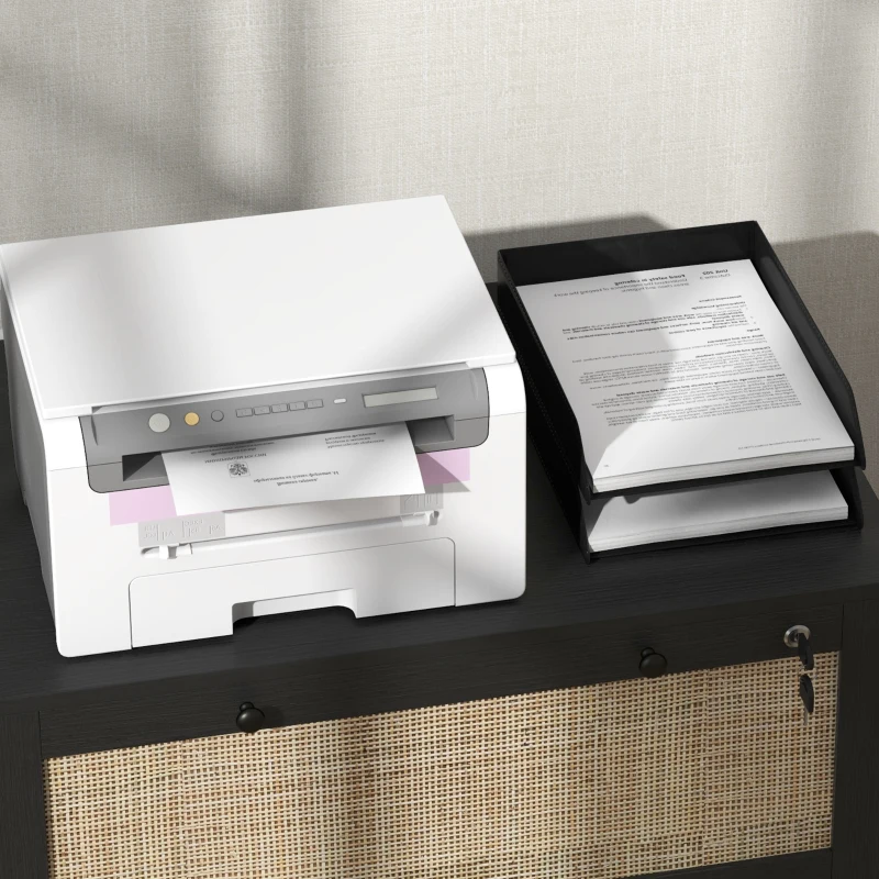 Vinsetto Lockable Filing Cabinet, Boho 2 Drawer File Cabinet with Adjustable Hanging Bar for Letter, A4 and Legal Size, Black