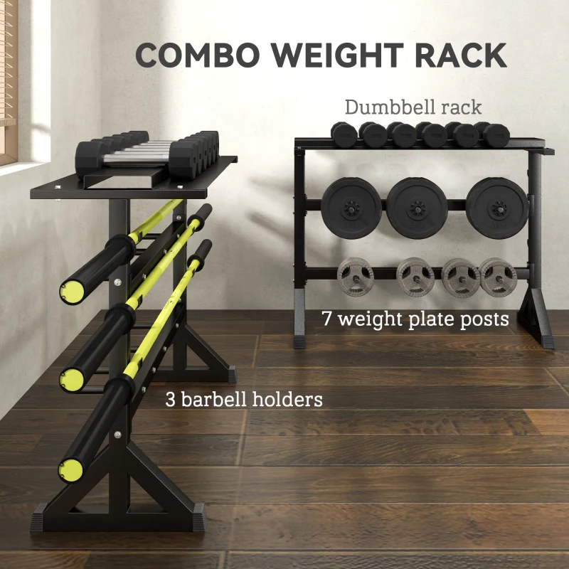 Soozier 1100LBS Capacity Weight Rack, Weight Plate Rack, and Dumbbell Rack for Home Gym Storage