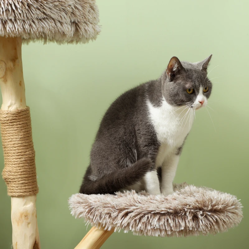 PawHut 35 Inch Modern Cat Tree for Indoor Adult Cats with Wooden Scratching Posts, Cat Bed & Rope Cat Toy, Brown