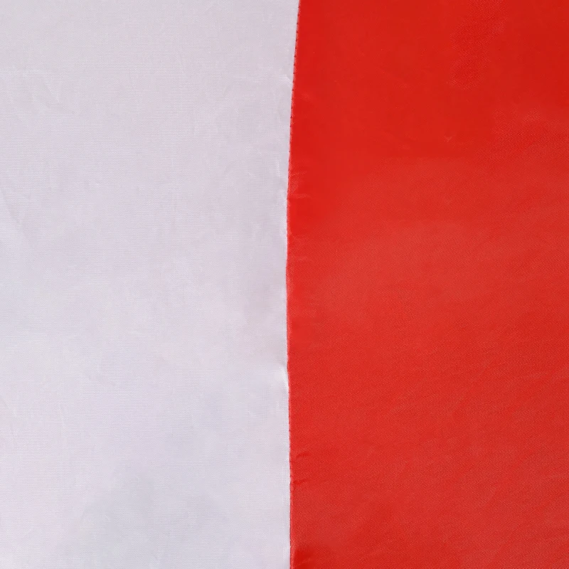 HOMCOM Large 10ft Christmas Inflatable Archway with Santa Claus and Penguin for Outdoor, Blow Up Decoration with LED Lights