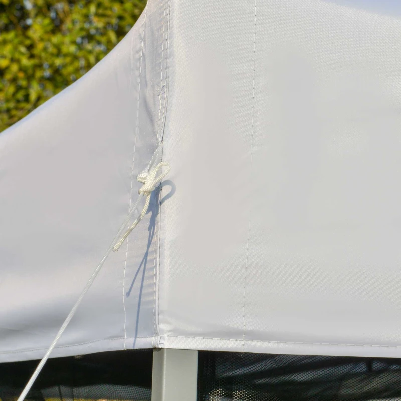 Outsunny 10' x 10' Pop-Up Canopy Tent Outdoor Party Tent, 3-Level Adjustable Height, Silver