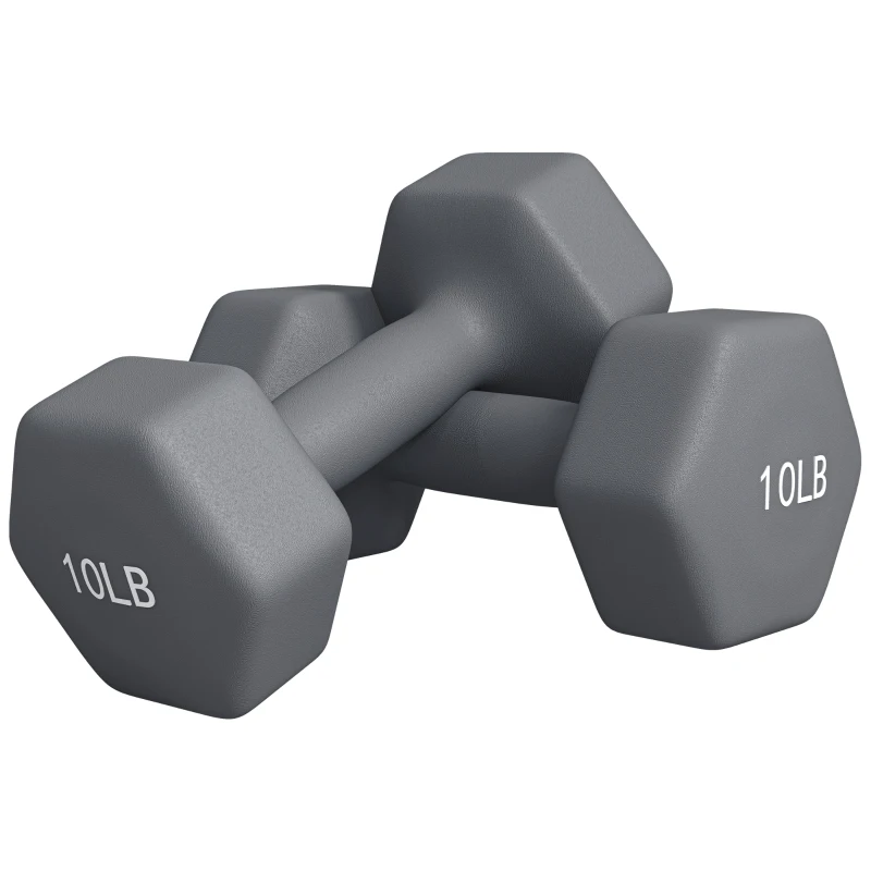 Soozier 2 x 10LBS Hexagonal Dumbbells, Set of 2 Weights with Non-Slip Grip for Home Gym Workout