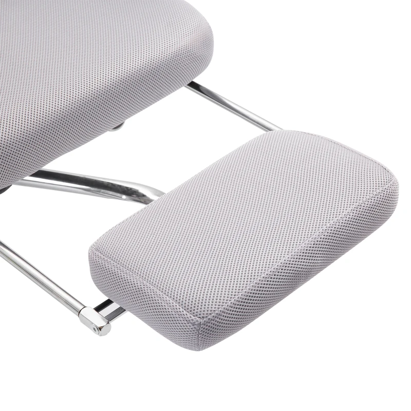 Vinsetto Ergonomic Executive High Back Office Chair with Footrest,Lumbar Support,Grey