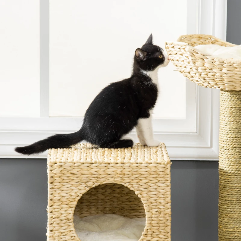 PawHut Cattail Weave Cat Tree for Indoor Cats Kitty Tower with Rattan Cat Condo, Wicker Bed, Ladder, Washable Cushions, 22.5" x 14.5" x 39.5", Natural