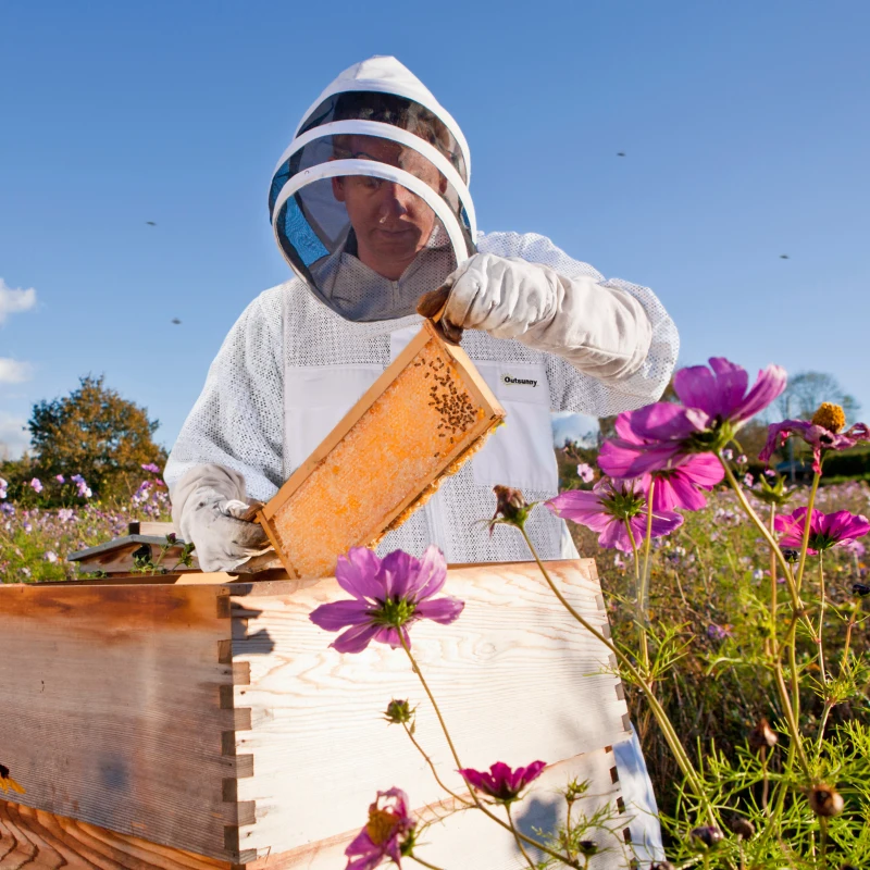 Outsunny Bee Suit for Men & Women, Beekeeping Jacket with Gloves & Ventilated Veil Hood, Multi-Size Protective Outfit, XXXL, Cream White