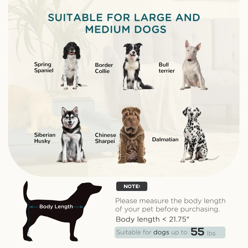 PawHut Large Dog Couch for a Fancy Dog Bed, Elevated Dog Sofa Bed with Washable Cover, Wooden Legs, Teal