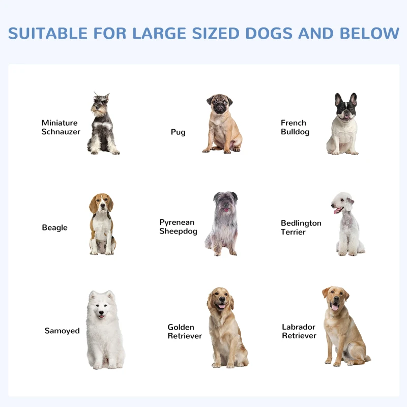 PawHut Dog Kennel Outdoor Run Fence with Roof, Steel Lock, Mesh Sidewalls for Backyard & Patio, 9.8' x 9.8' x 7.7'